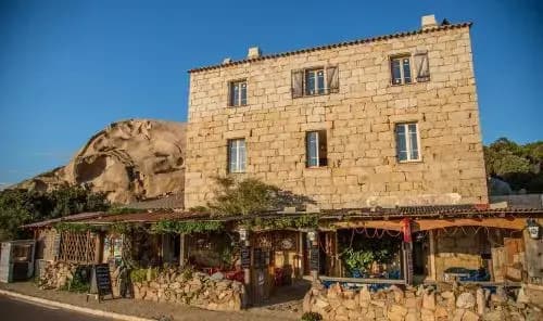 L'oasis du Lion - Photo 3