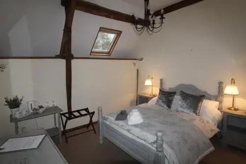 La Petite Jeusseliniere - Photo 3