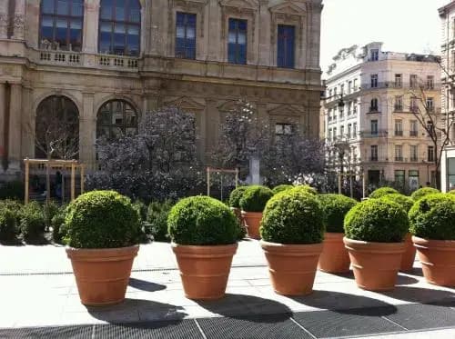 Appartements Hôtel de Ville - Photo 1
