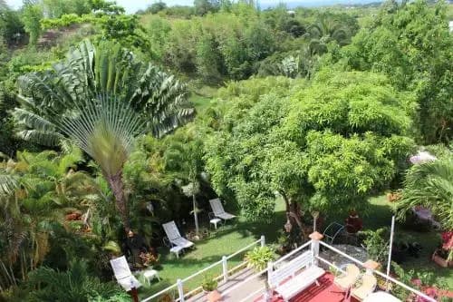 Coco Land - Photo 5
