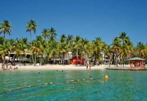 Location Les Flamboyants - Photo 2