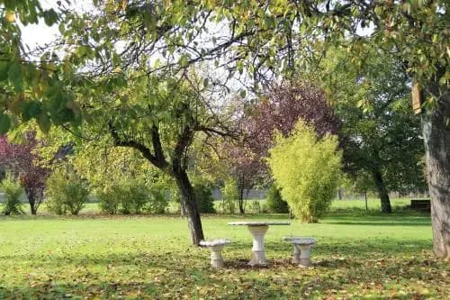 Sous Le Figuier - Photo 3
