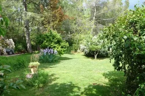 La Lézardière - Photo 3