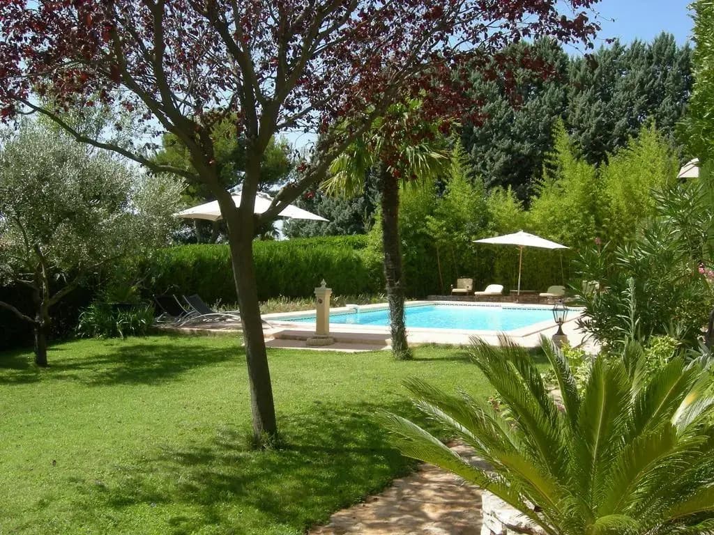 Les Cigales - Photo 5