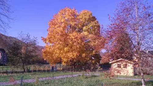 Domaine du Hulobiet - Miniature 6