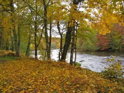 Moulin du Daumail - Photo 3