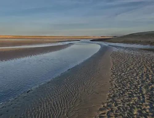 Home 19 - Miniature 8