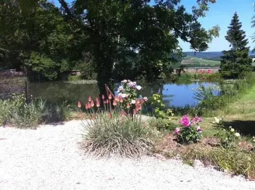Manoir De Montflambert - Photo 5
