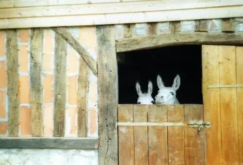 Chambre chez Corinne - Miniature 6