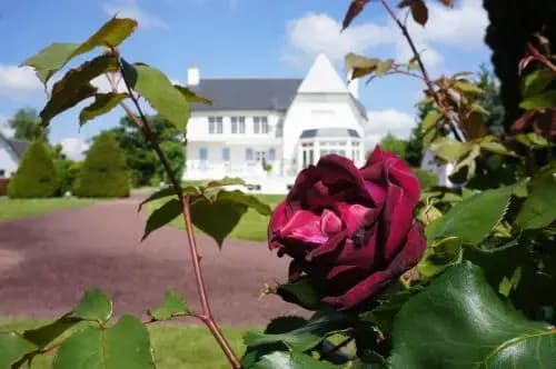 Maison d'Hôtes Villa Roffa - Photo 4