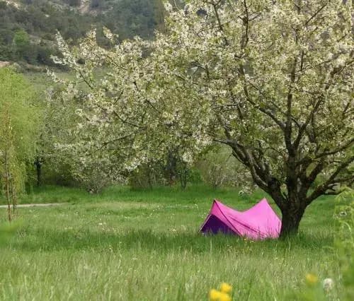 Camping des Catoyes - Photo 3