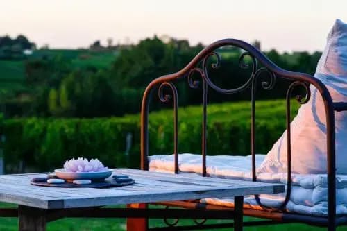 La Veranda du Chateau Maison Noble - Photo 5