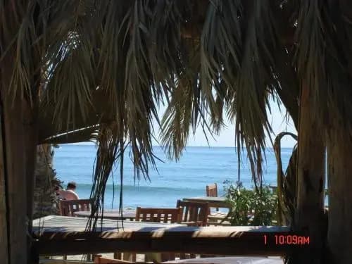 Vic's Land Holidays - Photo 2