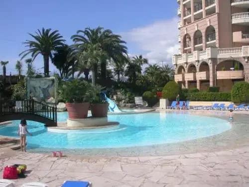 Palme d'Azur - Photo 5