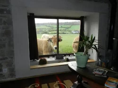 Le Clos Des Lavandes - Photo 5