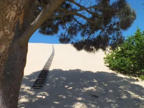 Camping de la Dune - Photo 5