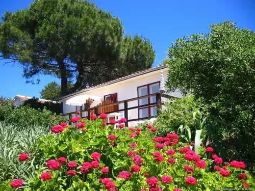 La Fourmi du Levant - Photo 4