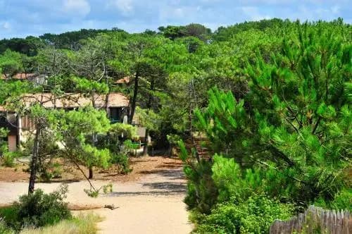 La Forestiere Pension Complete - Photo 1