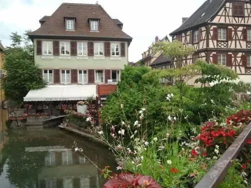 Aux Petits Coeurs de Colmar - Photo 5