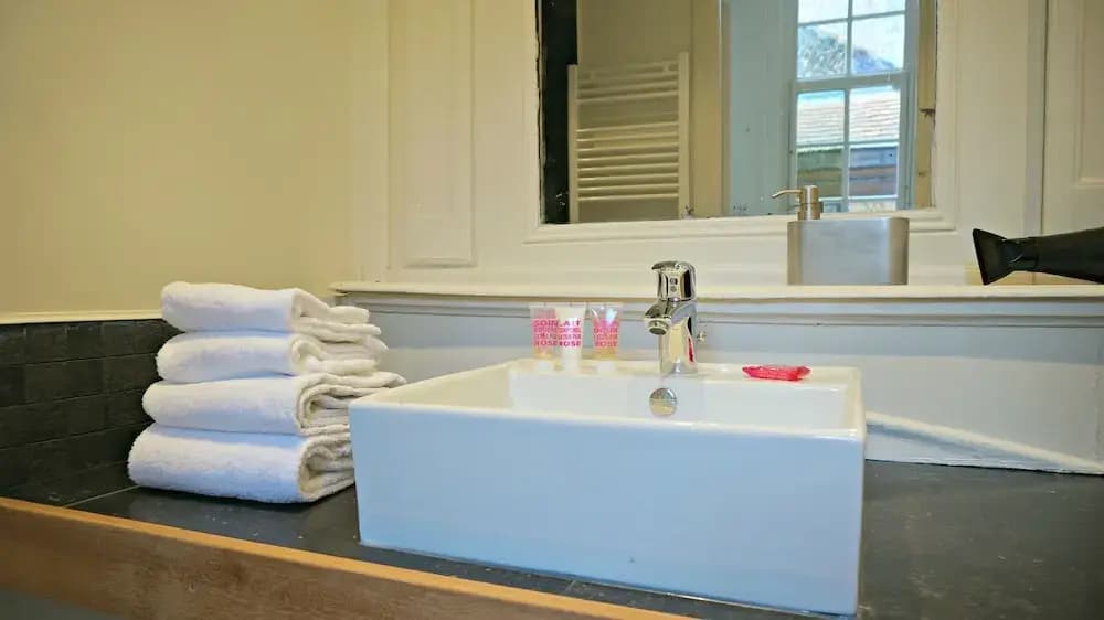 Little Suite - Hubert - Miniature 8