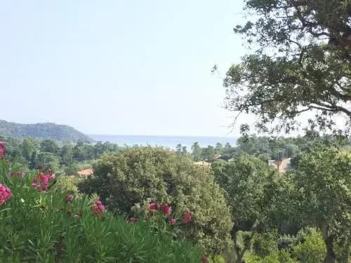 Thalassa - Miniature 8