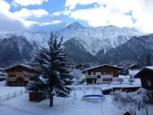 Les Chamois H301 - Photo 4