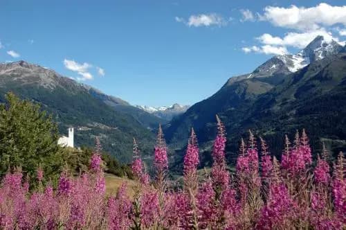 Résidence Le Tyrol - Miniature 8