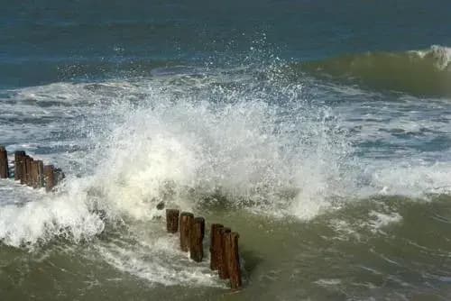 La Capelette - Miniature 8
