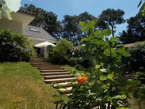 La Chouannerie - Photo 2
