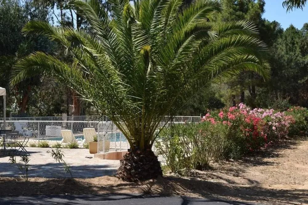 Camping Paradella - Photo 2