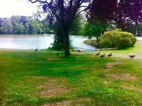 Le Domaine de Charlyne - Miniature 7