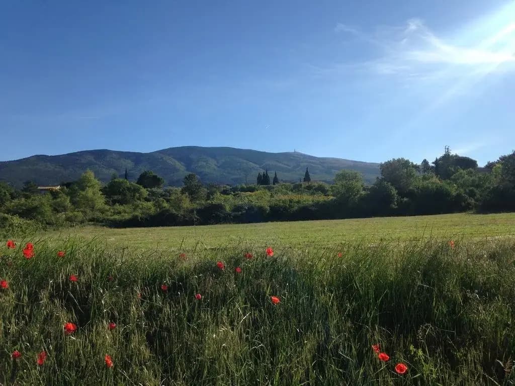 Les Tournillayres - Photo 1