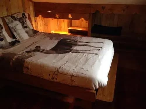 La Godille - Photo 2