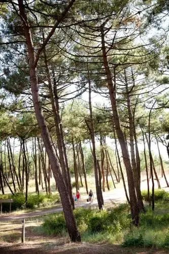 Camping Bel Air - Photo 4