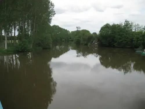 Le Petitepinay - Photo 2