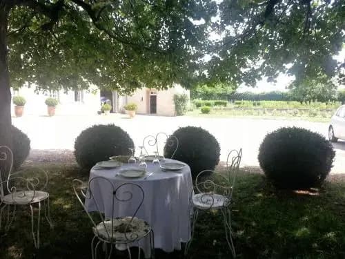 Tourterelle, à proximité de Auxerre et Chablis - Photo 5