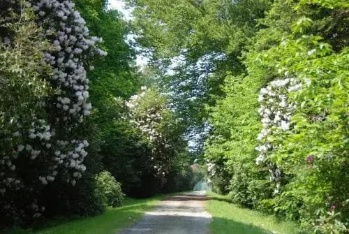Holiday home Gites Manoir du Ranleon 3 - Photo 5