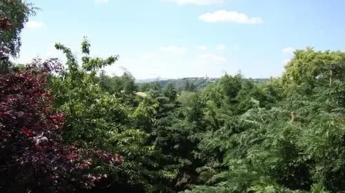 Rêve de Môme - Photo 4
