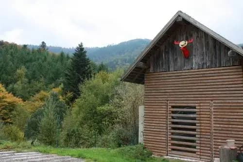 À L'Orée du Bois - Miniature 6