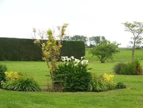 Gites Bellevue - Miniature 8