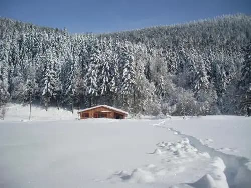 Les Chamois - Miniature 7