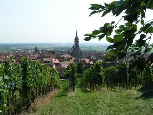 Appartements Les clés des Vignes - Photo 2