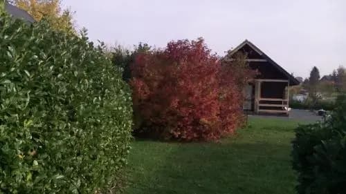 Domaine du Hulobiet - Miniature 7