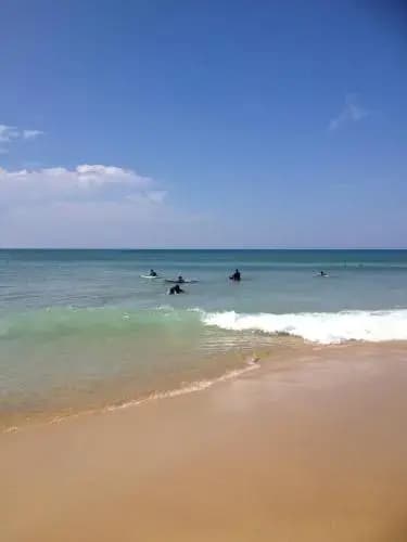 Studio Arcachon - Miniature 8
