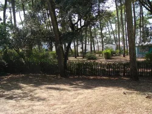 Camping de la Plage de Riez - Photo 5