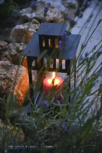Mas des Lavandes - Miniature 8