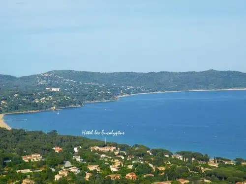 Hôtel Cavalaire Les Eucalyptus - Miniature 6