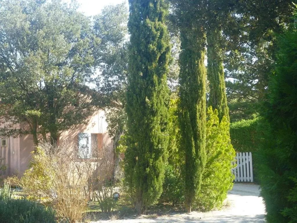 Les Tournillayres - Photo 3