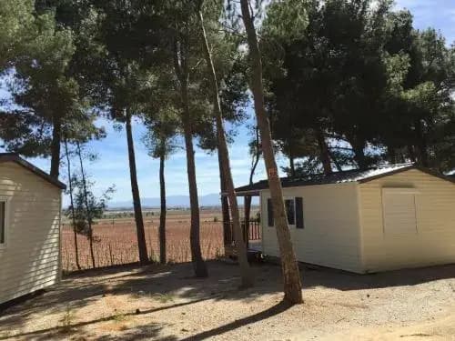 Camping Le Bois De Pins - Photo 4