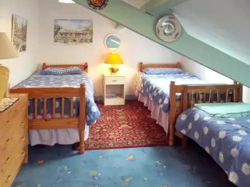 Holiday Home La Plesse - Photo 2